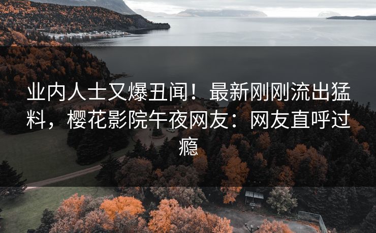 业内人士又爆丑闻！最新刚刚流出猛料，樱花影院午夜网友：网友直呼过瘾